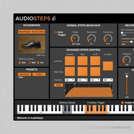 LeSound AudioSteps Pro Databanks v2.0