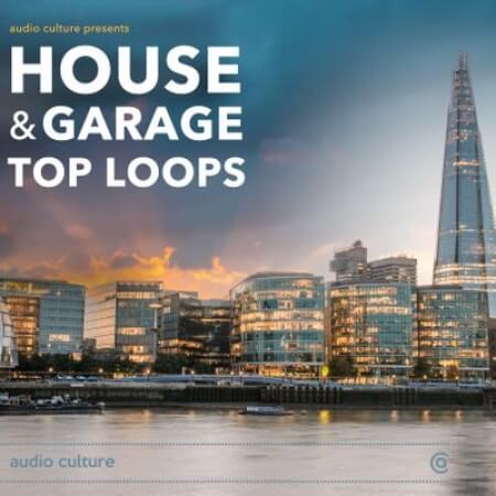Audio Culture House and Garage Top Loops [WAV]