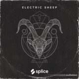 Splice Originals Electric Sheep [WAV]