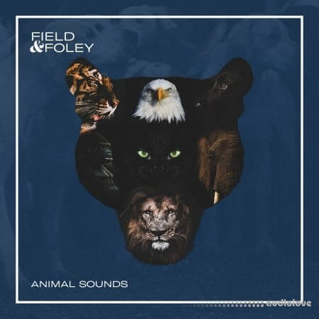Field and Foley Animal Sounds [WAV]