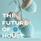 Soundsmiths The Future of House [WAV, Synth Presets]