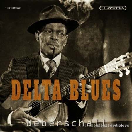 Ueberschall Delta Blues [Elastik]
