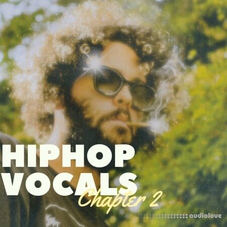 Lazerdisk Hip Hop Vocals Chapter 2 [WAV]