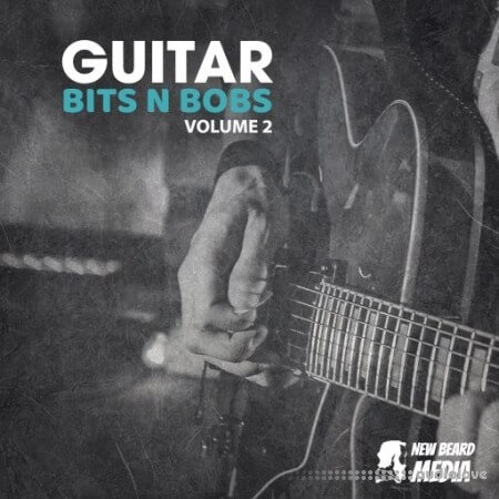 New Beard Media Guitar Bits N Bobs 2