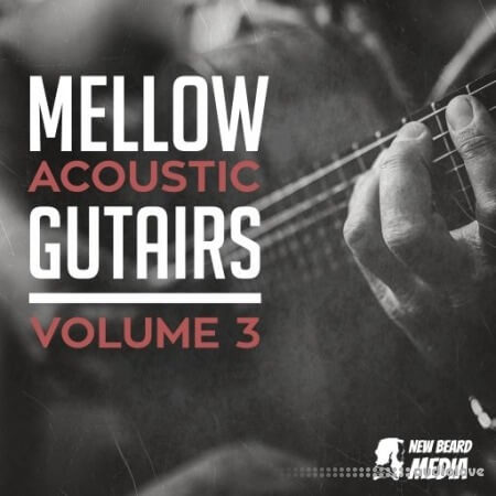New Beard Media Mellow Acoustic Guitars Vol.3 [WAV]