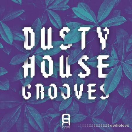Ultimate Loops Dusty House Grooves [WAV]