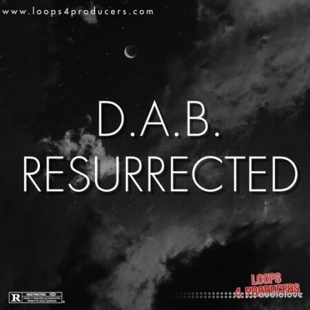 Loops 4 Producers D.A.B. Resurrected [WAV]