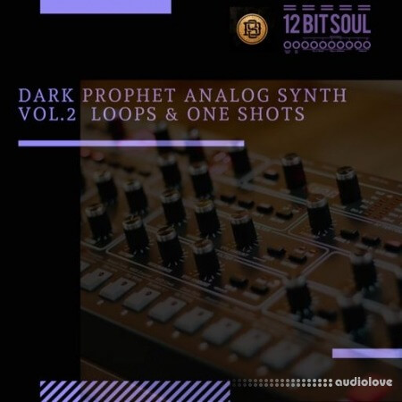 Divided Souls Dark Prophet Analog Synth Vol.2 [WAV]