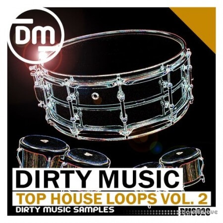 Dirty Music Top House Loops Vol. 2 [WAV]