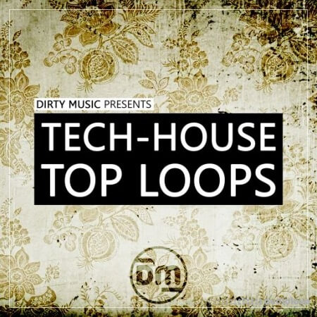 Dirty Music Tech-House Top Loops [WAV]