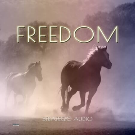 Strategic Audio Freedom [WAV]