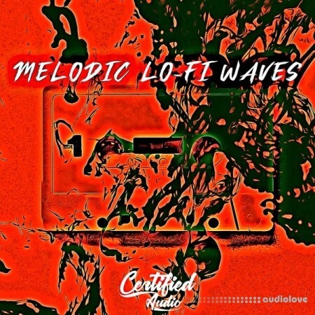 Certified Audio LLC Melodic Lo-Fi Waves [WAV]