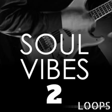 HOOKSHOW Soul Vibes Loops 2 [WAV]