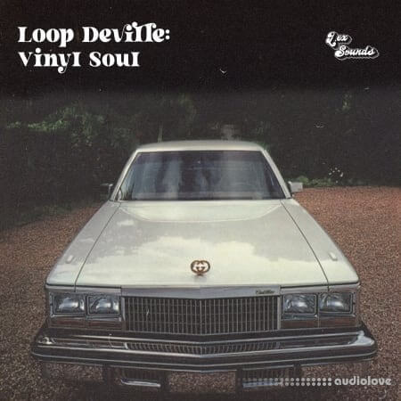 LEX Sounds Loop Deville Vinyl Soul [WAV]