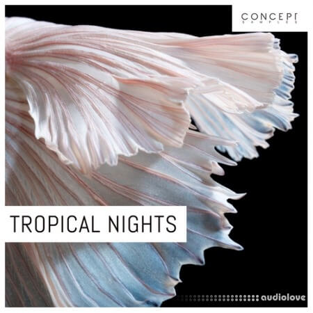 Concept Samples Tropical Nights [WAV]