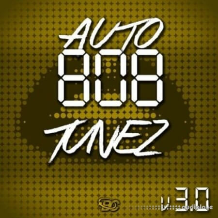 Big Citi Loops Auto 808 Tunez Vol 3 [WAV]