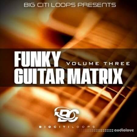 Big Citi Loops Funky Guitar Matrix Vol 3 [WAV]