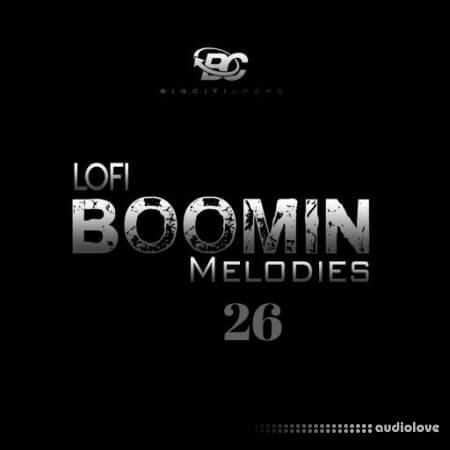 Big Citi Loops Lofi Boomin Melodies 26 [WAV]
