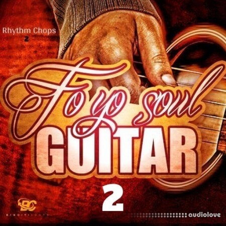 Big Citi Loops Fo Yo Soul Guitar Rhythm Chops 2 [WAV]