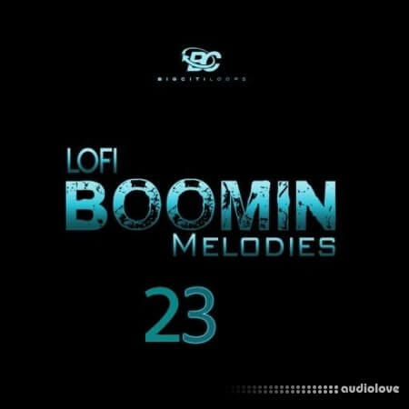Big Citi Loops Lofi Boomin Melodies 23