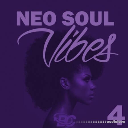 Big Citi Loops Neo Soul Vibes 4 [WAV]