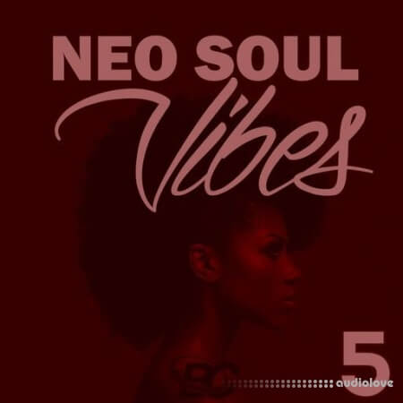 Big Citi Loops Neo Soul Vibes 5 [WAV]