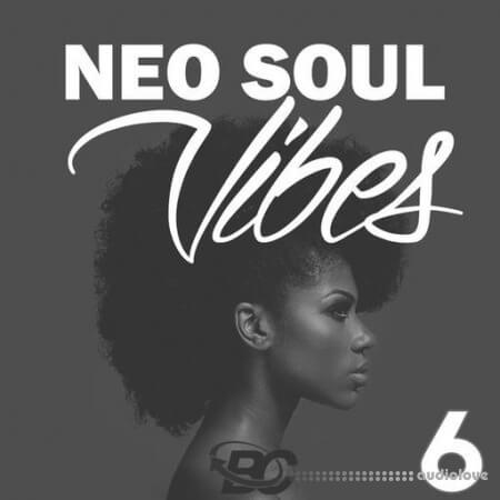 Big Citi Loops Neo Soul Vibes 6 [WAV]