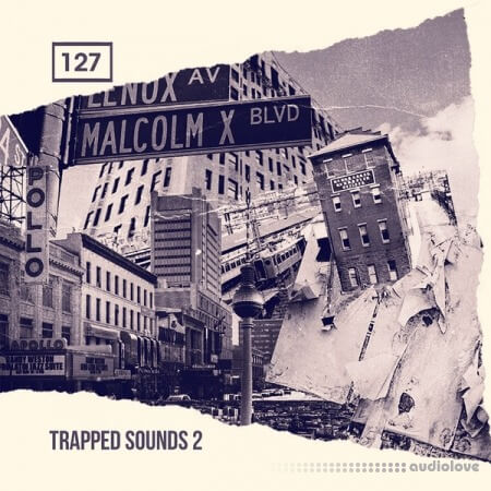 Bingoshakerz Trapped Sounds 2 [WAV, REX]