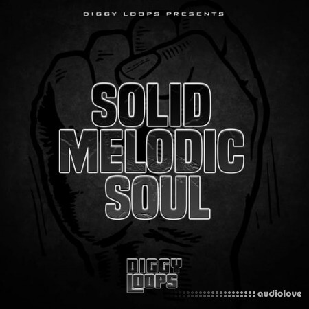 Big Citi Loops Solid Melodic Soul [WAV]