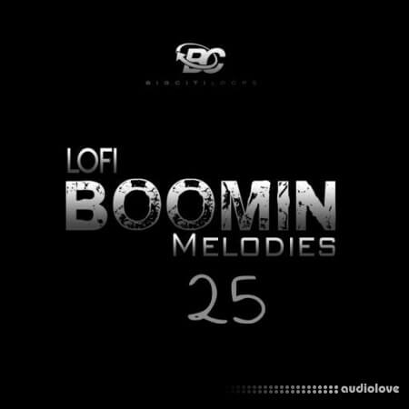Big Citi Loops Lofi Boomin Melodies 25 [WAV]