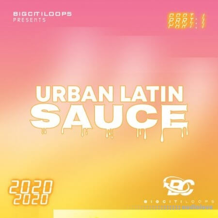 Big Citi Loops Urban Latin Sauce [WAV]
