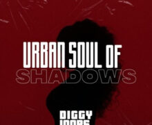Big Citi Loops Urban Soul Of Shadows [WAV]