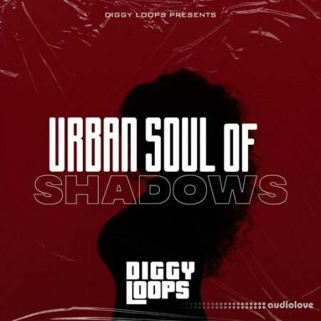 Big Citi Loops Urban Soul Of Shadows