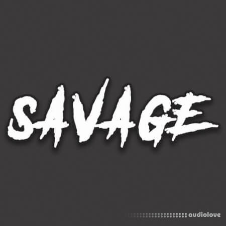 DiyMusicBiz Savage [WAV]