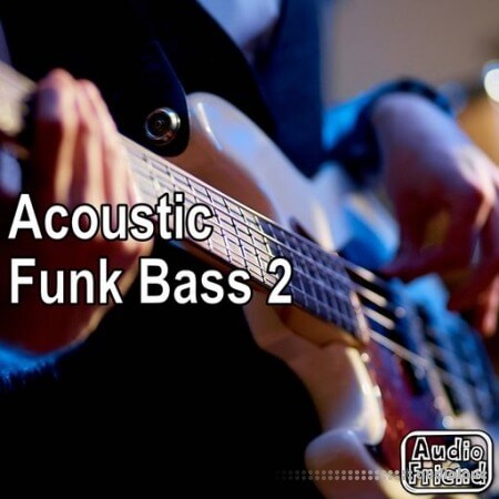AudioFriend Acoustic Funk Bass 2 [WAV]
