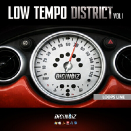 Diginoiz Low Tempo District [ACiD, WAV]