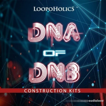 Loopoholics Dna of DnB Construction Kits [WAV, MiDi]