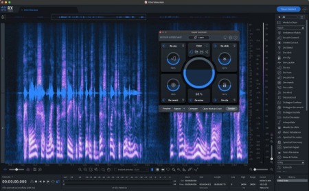 iZotope RX 10 Audio Editor Advanced v10.1.0 [WiN]