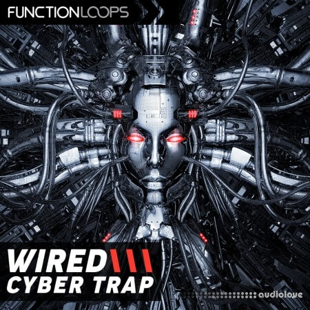 Function Loops Wired Cyber Trap