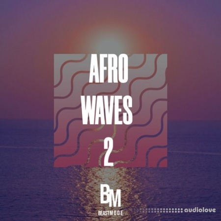 HOOKSHOW Afro Waves 2 [WAV]