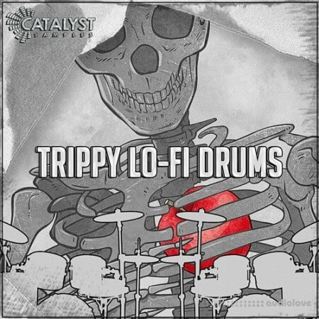 Catalyst Samples Trippy Lo-Fi Drums [WAV]