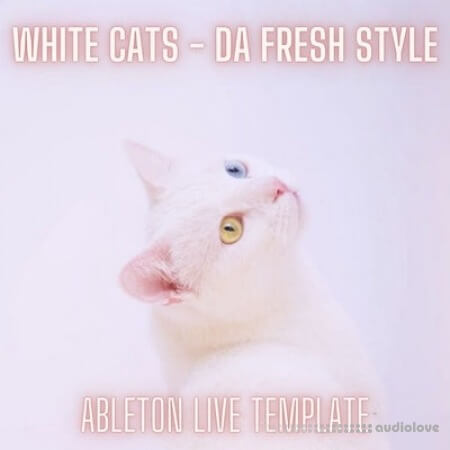 Innovation Sounds White Cats Da Fresh Style Ableton Melodic Techno Template