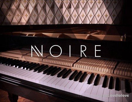 Native Instruments Noire v1.2.1 [KONTAKT]
