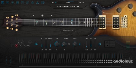 Ample Sound Ample Guitar PF