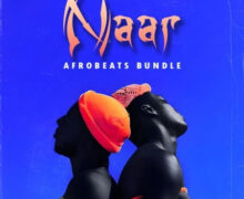 Aotbb Naar Afrobeats Bundle [WAV, MiDi]