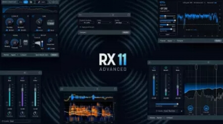 iZotope RX 11 Audio Editor Advanced