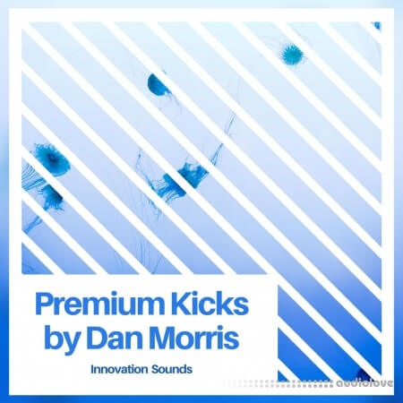 Ushuaia Music Premium Kicks By Dan Morris [WAV]