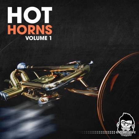 Vanilla Groove Studios Hot Horns Vol 1