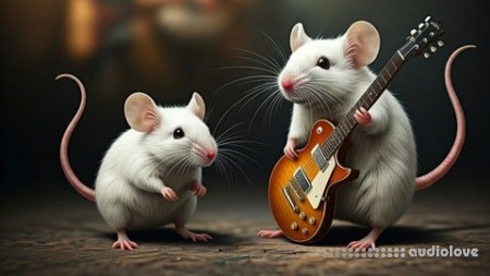Udemy Your Music, Your Money [TUTORiAL]