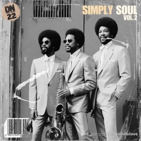 Dusty Notes Simply Soul Vol.2 [WAV]